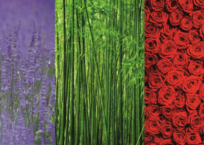 SLI Chemicals - Fine Chemicals and more